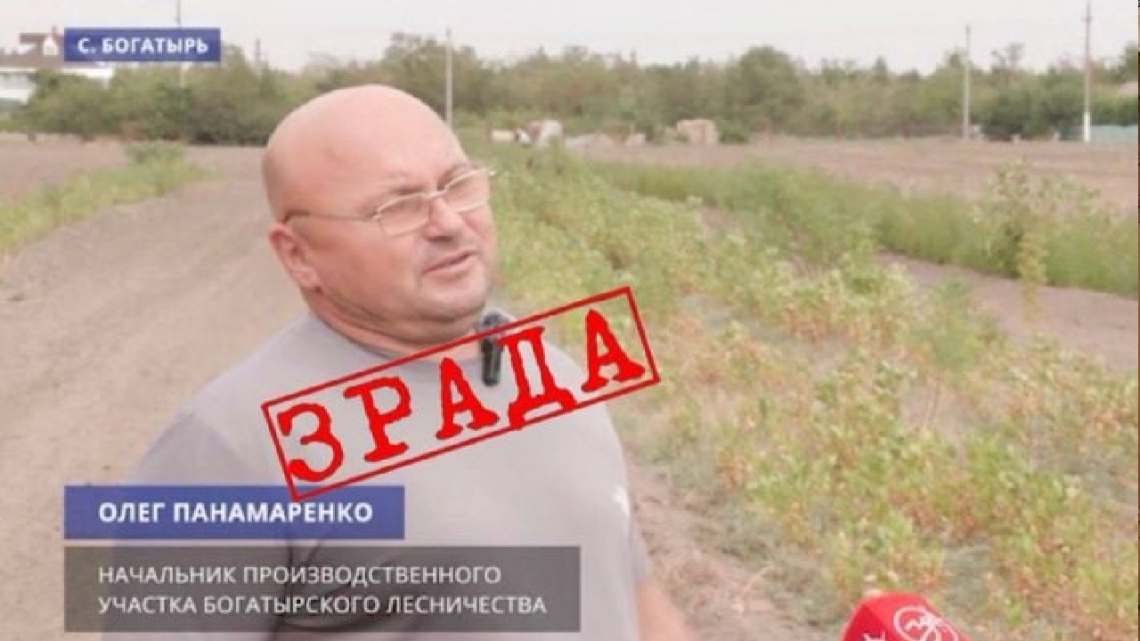 Кар’єра на зраді: колишнього лісника з Богатирського лісництва під Мелітополем засуджено до 15 років ув’язнення