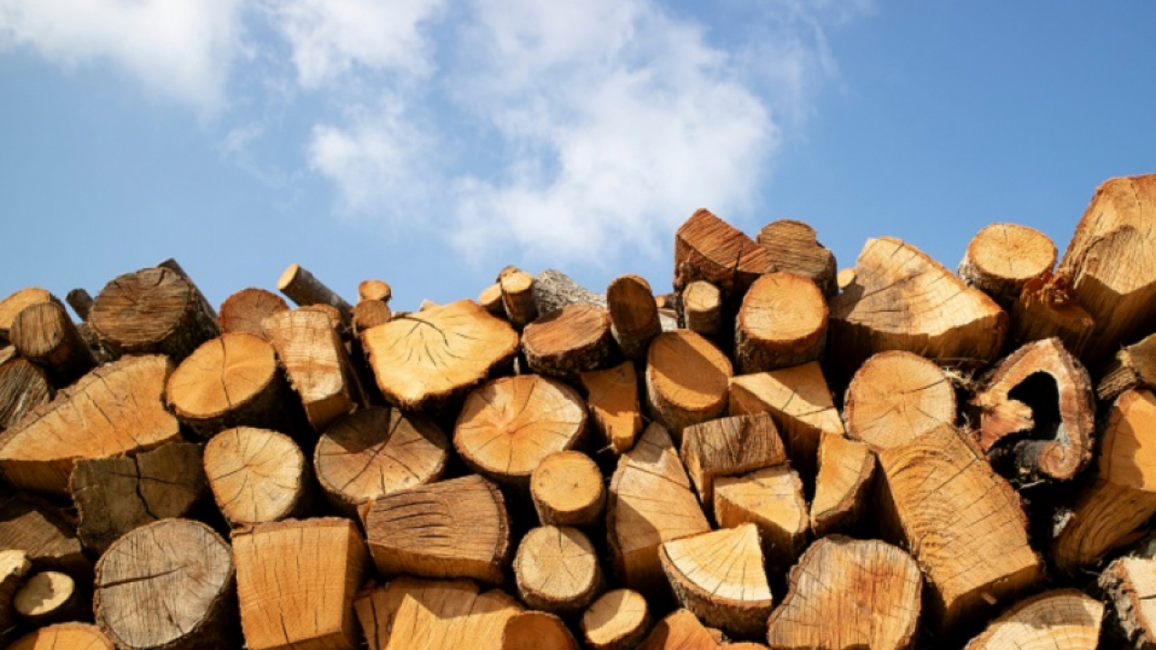 Кабмін збільшив розмір субсидії для населення на придбання дров