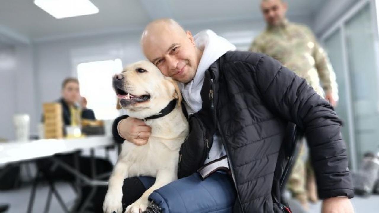 Лапа підтримки: як собаки-терапевти у Запоріжжі повертають ветеранів з Мелітопольщини до життя