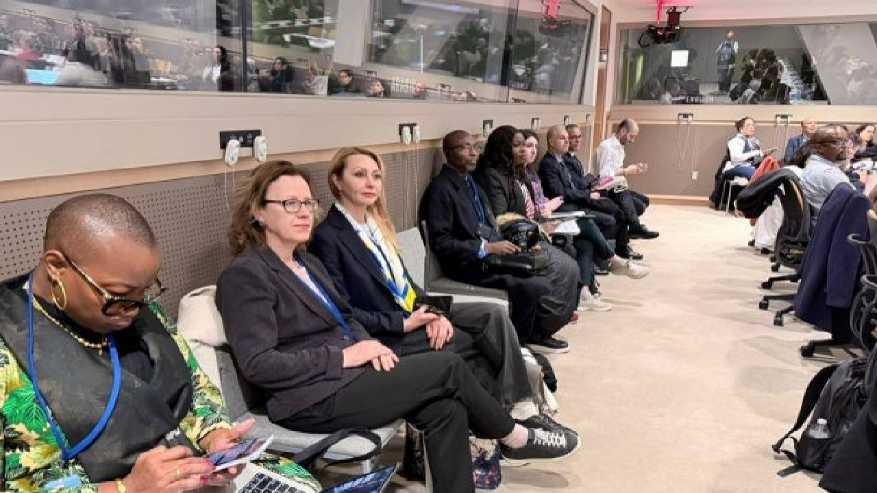 Про переслідування мелітопольських журналісток говорили на 70-тій сесія Комісії зі становища жінок (CSW70) в ООН