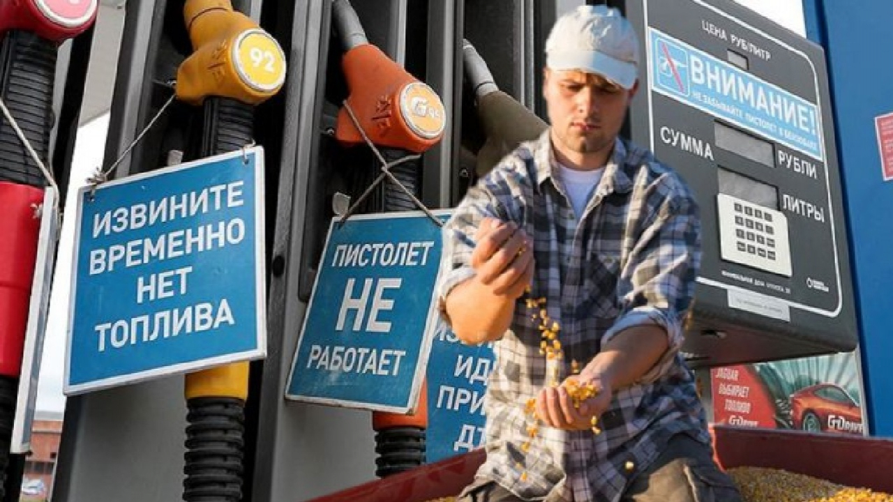 Пальне закінчується, жнива наближаються: аграрії Мелітополя та інших ТОТ ризикують втратити врожай